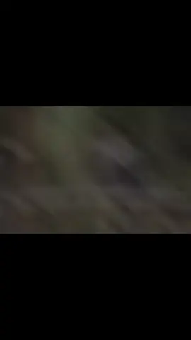 #وحدى_طول_اليل 