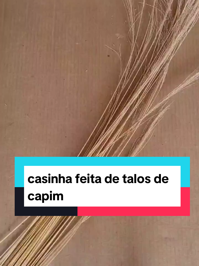 #art ,tudo vira art,linda casinha  feita de talos de capim.