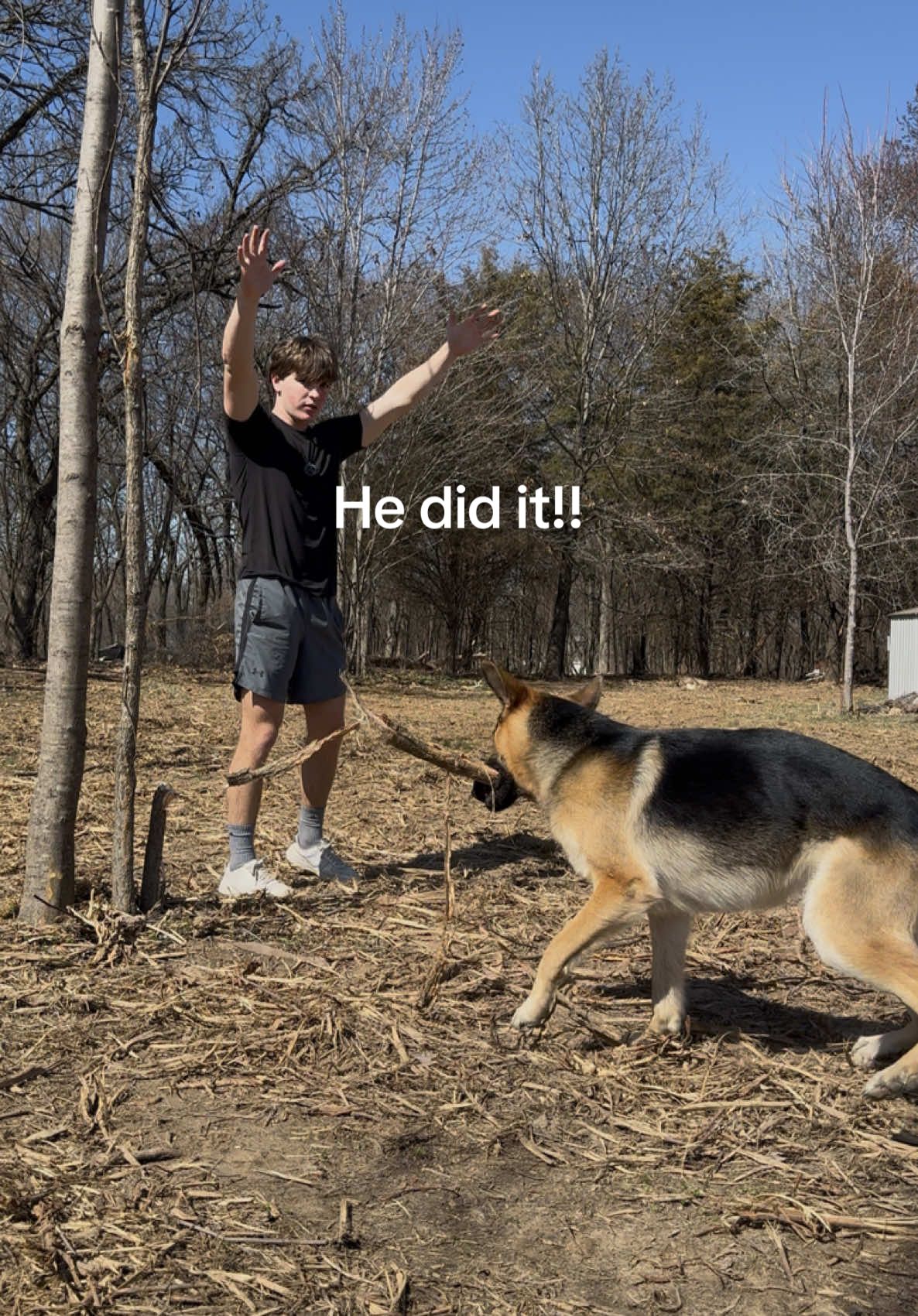I can’t believe he got this down 😂, follow us for our crazy life adventures❤️ #arkansascheck #dog #dogsoftiktok #germanshepherd #fyp #foryoupage #dogs #life #20s #germanshepherdsoftiktok #livingalone #fridaynights #trees #travel #fridaymood 