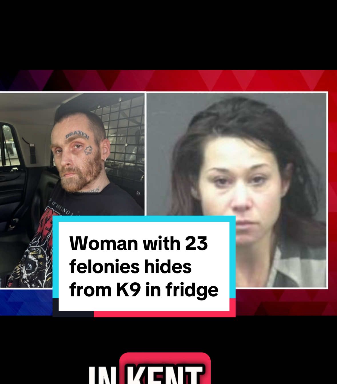 Diana Hayward, 39, has 23 felony convictions and was wanted for burglary and identity theft. 