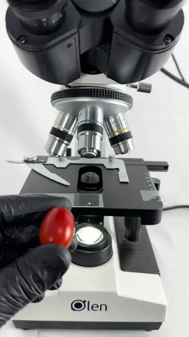 Tomates no microscópio 🍅 #curiosidades #microscope #microscopio #salada #tomate 