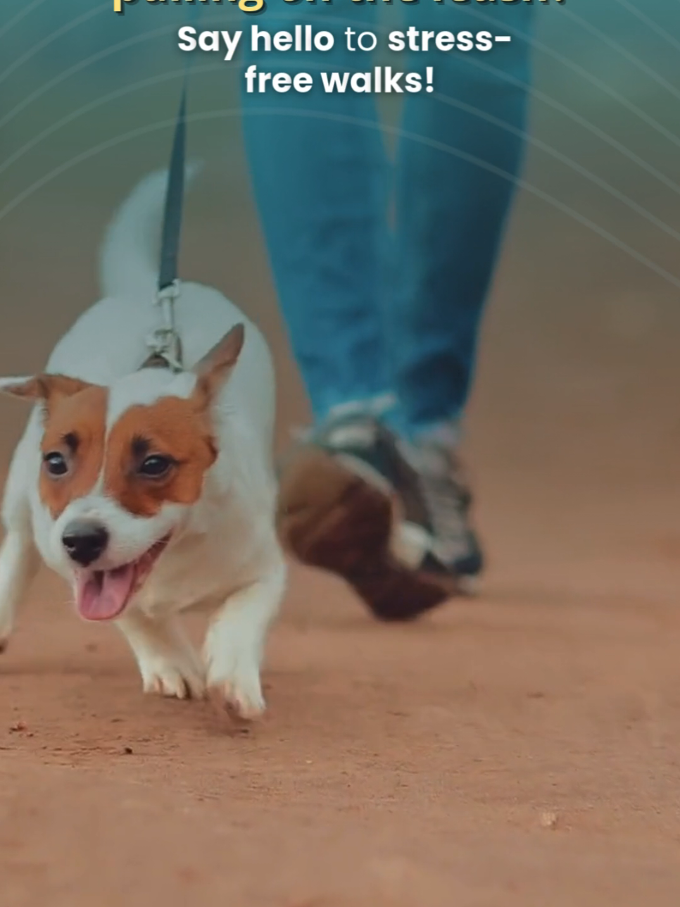 📆 Book today and see the difference! . Get in touch with us: 📱 (908)-294-1177 . Visit our website: 👇 🌐 www.balanced-dogs.com . #BrooklynDogTraining #DogWalkingBrooklyn #BrooklynPetCare #DogTrainerNYC #BrooklynDogs #PetServicesBrooklyn #DogLoversBrooklyn #BrooklynPups #DogWalkerBrooklyn #BrooklynPetCommunity