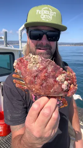 Friendliest Catch Fishing, What is a Barnacle Part 1 #friendliestcatch #fishing #barnaclechronicles 