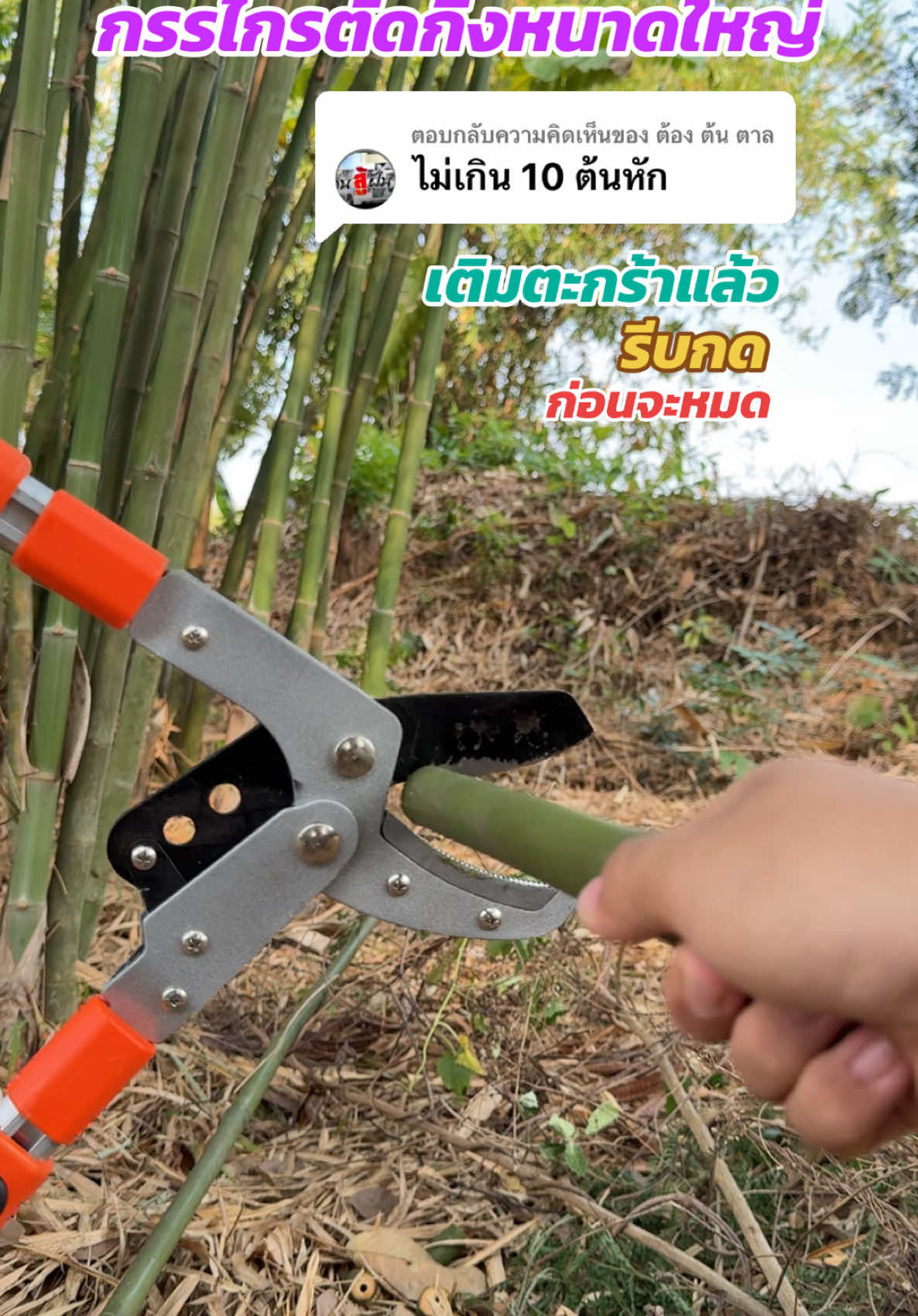 ตอบกลับ @ต้อง ต้น ตาล #กรรไกรตัดกิ่งไม้ #กรรไกรตัดแต่งกิ่งไผ่ #กรรไกรตัดกิ่ง #เกษตร #ของดีบอกต่อ #ถูกและดีมีอยู่จริง 