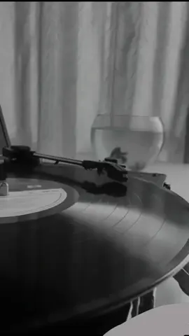 #boleros #charliezaa #juliojaramillo #quenadiesepamisufrir 