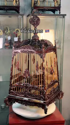 #กรงนกหัวจุก  #นกกรงหัวจุก 