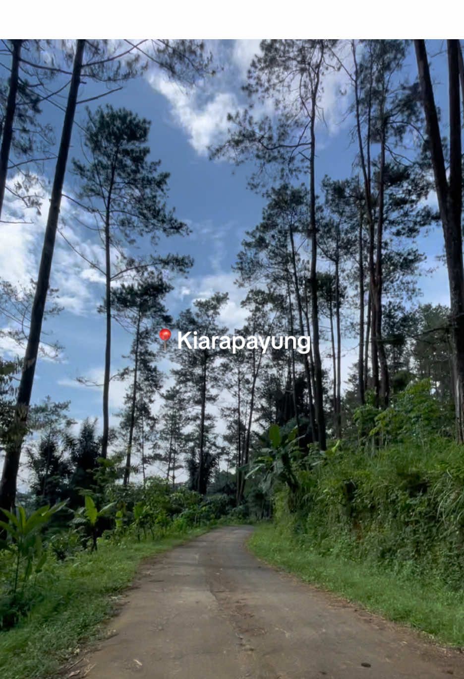 kiarapayung, kutabima #fyppppppppppppppppppppppp #fypage #fyp #fypシ゚ #majenang #majenangcilacap #cilacap24jam #cilacapngapak #cilacapkekinian #cilacapviral #cilacapbercahaya #sidareja #wanareja #karangpucung #gandrungmangu #cilacapbarat #kutabima 