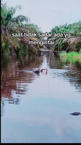aku pun tak tau itu apa#castingtoman #fyp #tomangoblin #mahlukaneh 