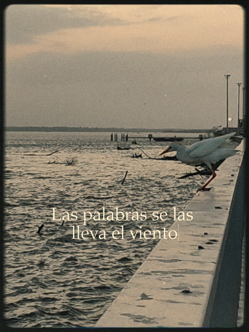 El tiempo es el regalo más valioso que alguien puede darte, especialmente cuando lo comparte contigo a pesar de tener mil cosas por hacer.  Porque quien realmente te valora, no busca excusas, sino momentos.  No se trata de cantidad, sino de intención.  Al final, el amor y la importancia se miden en esos instantes que alguien elige dedicarte, incluso cuando el reloj parece ir en contra.  Si alguien te da su tiempo, valóralo… porque te está dando parte de su vida que nunca recuperará. #Tiempo #Valiosa #Importante #Calidad 
