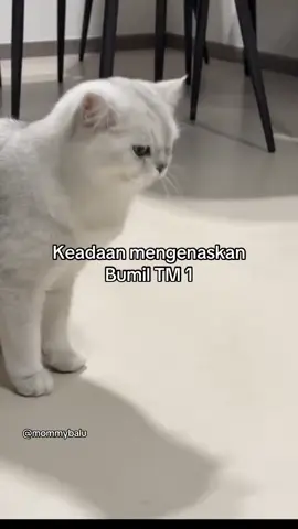 Keadaan terkini para bunda bunda pejuang TM 1  Siapa yang lemes gegara kebanyakan mual, kliyengan wkwkwk #CapCut #hamil #meme #rabu #bumilcantik #bumilsehatbayisehat🤰♥️😘😘 