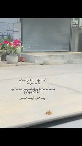 ရုပ်လေးနဲ့မှမလိုက် အောက်တန်းကျတဲ့စိတ်ဓာတ်တွေနဲ့…#fyp #fypシ゚ #foryoupage #livephotos 