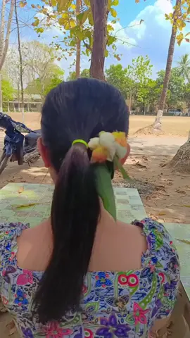 #နွေဦးကံ့ကော် နွေဦးကံ့ကော် #နွေ  #ကျောင်း အမှတ်ဖြတ် #မြင်ပါများပီးချစ်ကျွမ်းဝင်အောင်လို့🤒🖤 