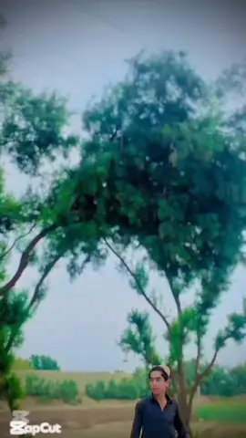 #unfreezemyacount #tiktokteamviralmyvideo 