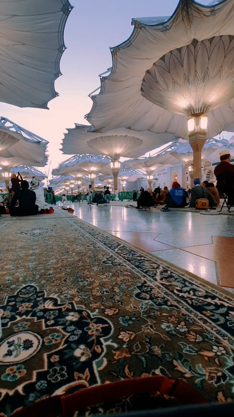 waktu yang selalu ditunggu setelah shalat shubuh di Masjid Nabawi ✨️ #ramadhan #madina #masjidnabawi 