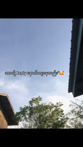 #myanmartiktok🇲🇲🇲🇲 #foryoupageofficial #tiktok #foryoupageofficiall❤️❤️tiktok #foryoupage #livephoto 