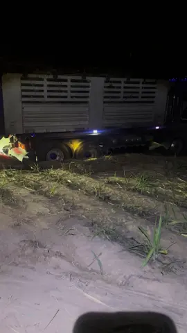 พอได้ออกแรง