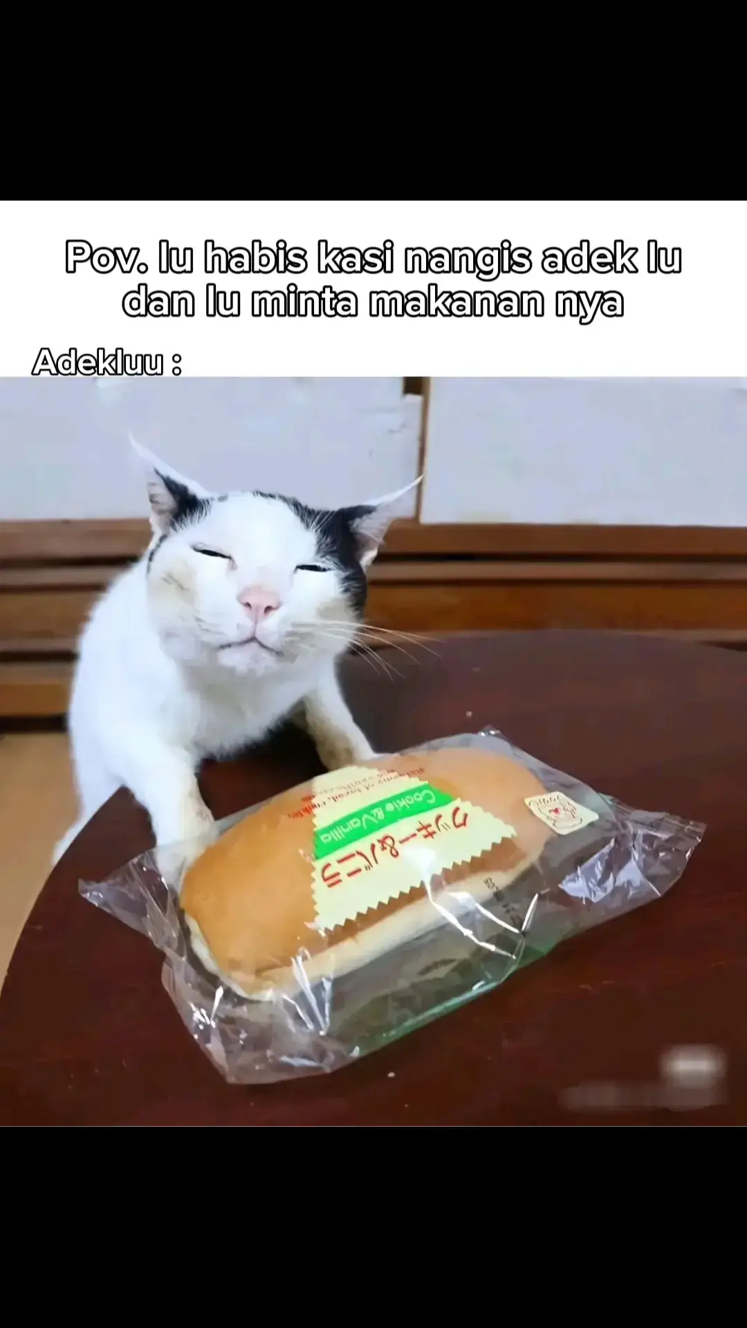Pov. lu habis kasi nangis adek lu dan lu minta makanan nya #kucing #memekucing #meme #4youpage #mods #memetiktok #Fyp #bcaxyz #memesdaily #memesdaily #lewatberanda 