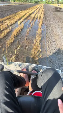 chuẩn bị bán em nó mua em khác về chạy 😂😂