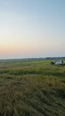 😈#foryou #fyp #new #vedio#viral #yanmar85 #havester #yh850 #srilanka #fyppppppppppppppppppppppp 