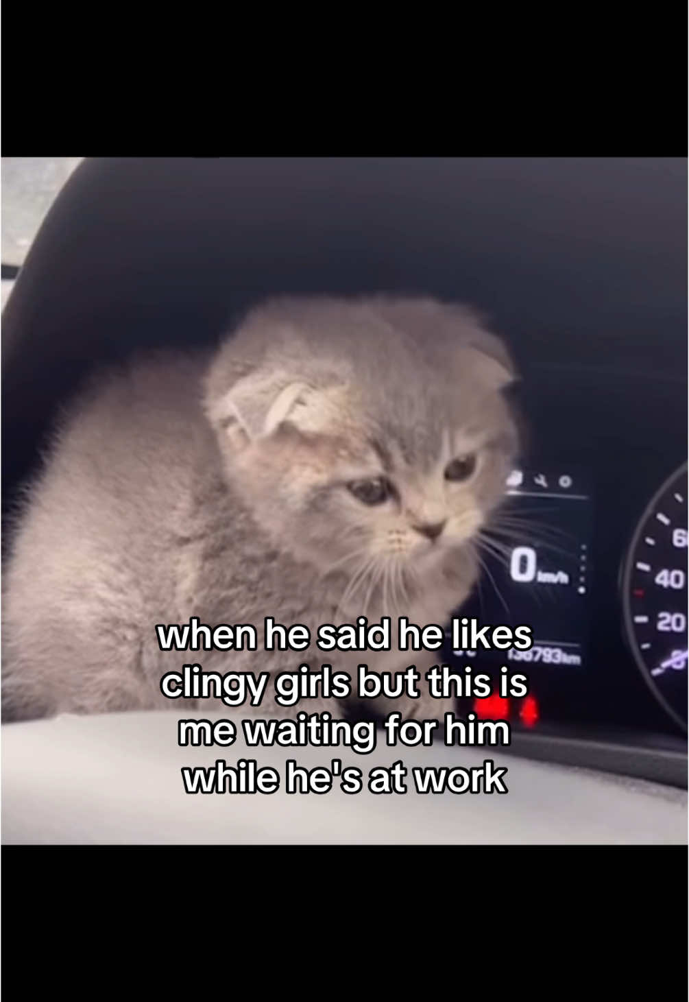 don't worry guys i do have a life 🙁 #bf #gf #boyfriend #girlfriend #Relationship #couple #couplestiktok #catcouple #cat #kitten #kitty #meow #clingy #soulmate #ilovemybf #ilovemygf #catlover #cutecatsoftiktok 