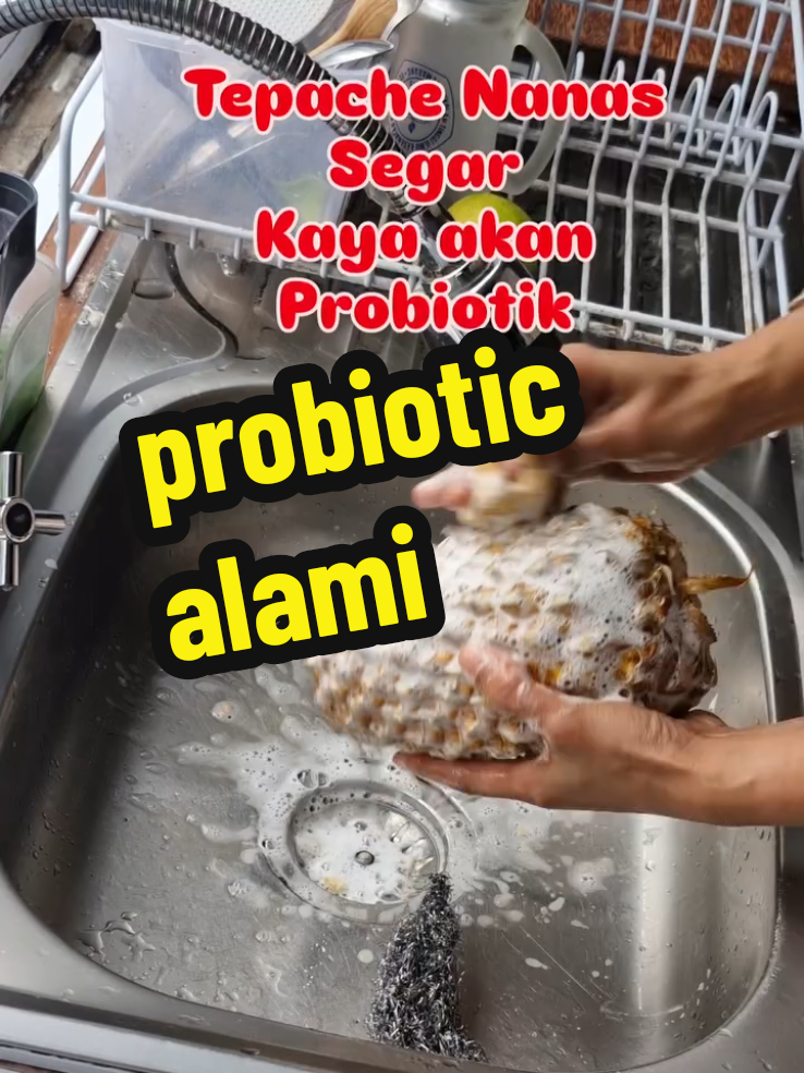 sudah tahu  belum ? nanas itu probiotic alami #nanas #buah #sehat  #kontensehat 