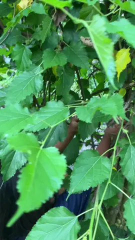 Jawaban bocilnya mind blowing sekalii😂