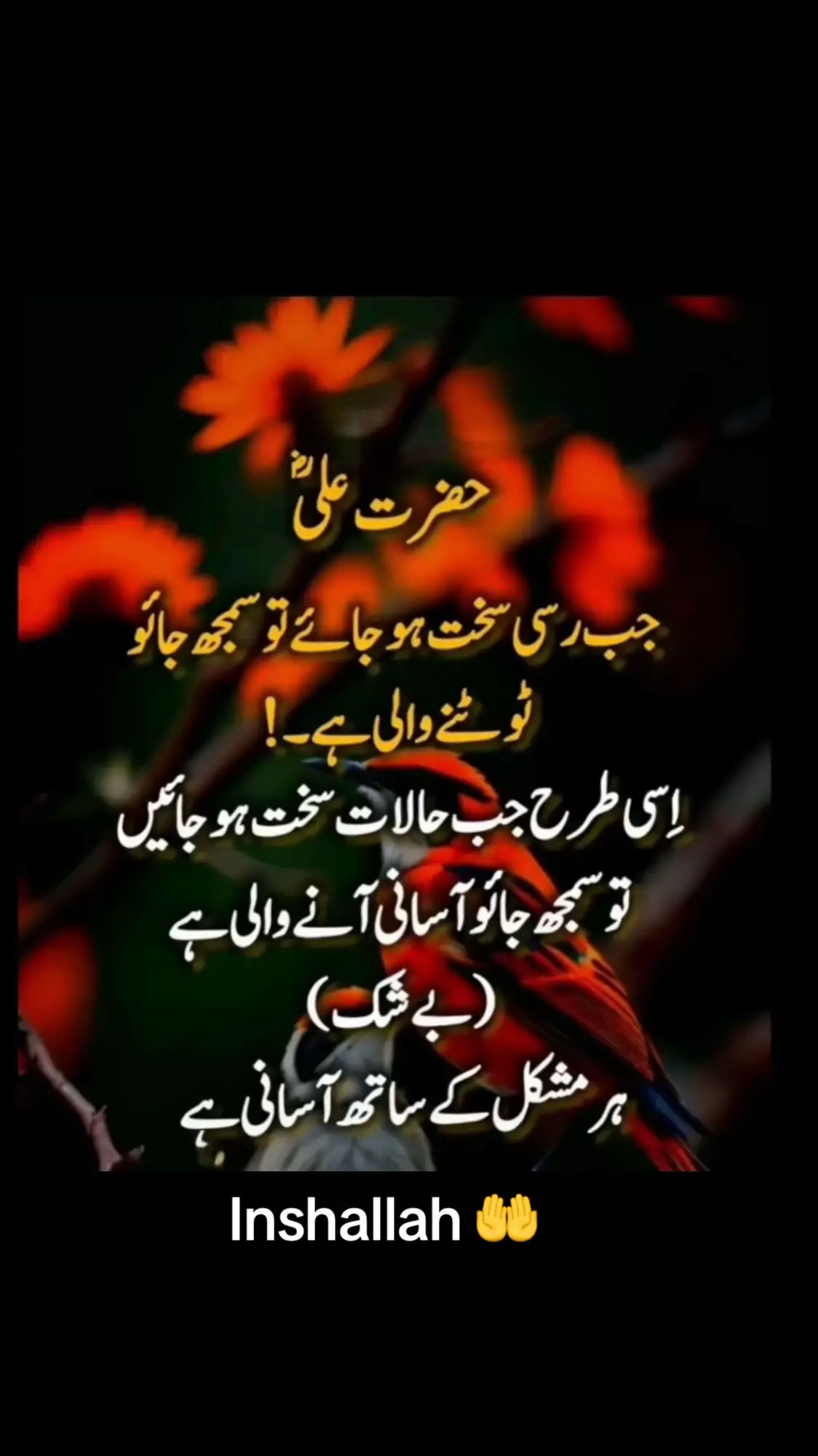 Inshallah #🤲🥰 