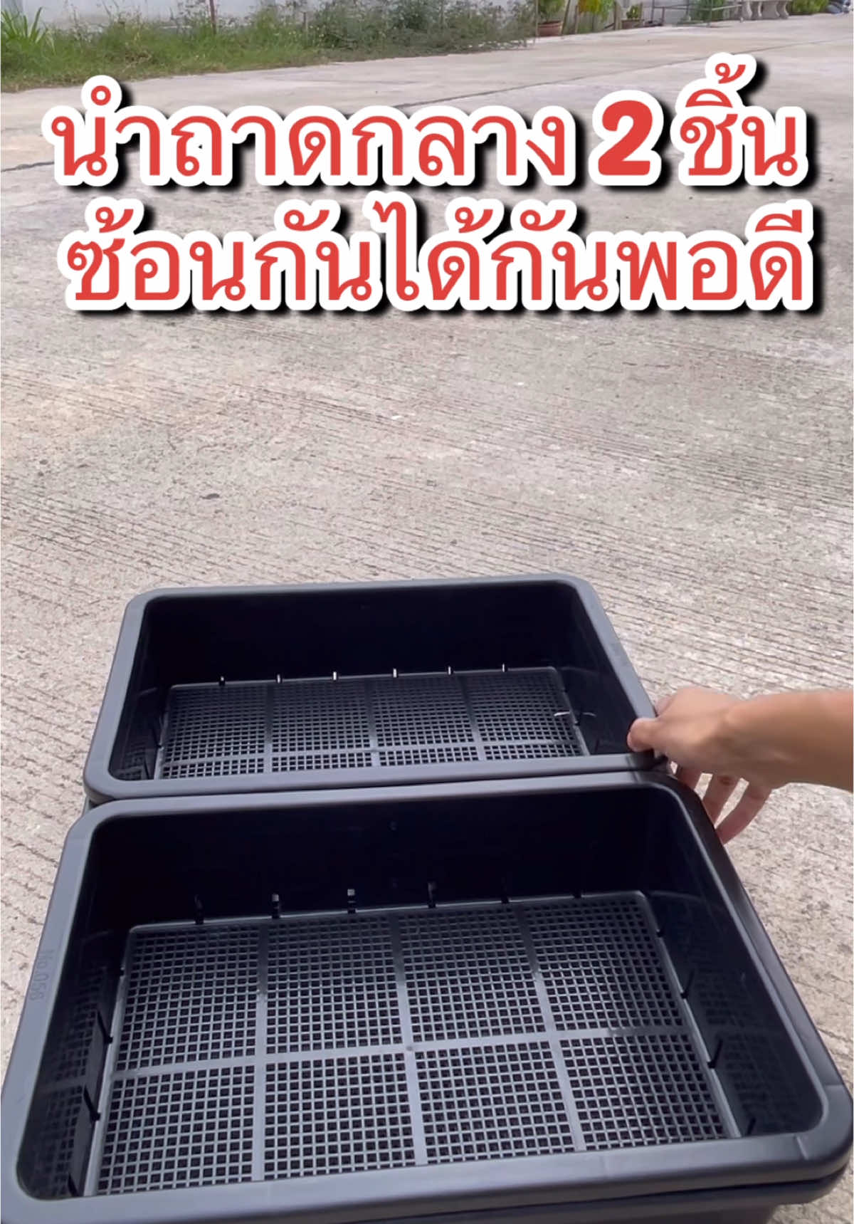 ถาดเพาะ แบบรู แบบทึบ วางซ้อนกันได้ #ถาดเพาะ #เพาะกล้า #ถาเไดโซะ