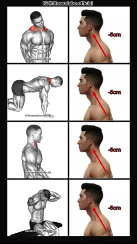 ✅ How to Fix Straight Neck ① Neck Rotation Stretch ② Kneeling Neck Stretch ③ Seated Chin Tuck ④ Seated Flexion And Extension Neck 3 sets 15-20 reps  #Fitness #gym #exercise  #workout #workoutroutine  #exercisetips  #fitnesstips  #bodybuilding  #postureworkout 