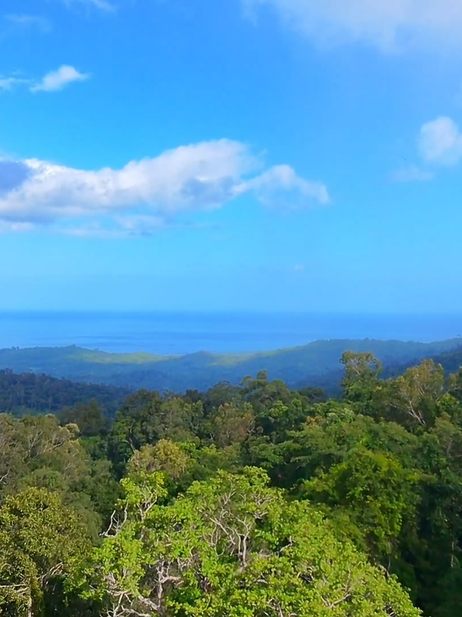 Paradise from above! ️✨ Witness the breathtaking beauty of Palawan’s lush forests from the skies. #DroneView #PalawanParadise #NatureFromAbove  