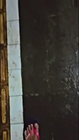 Si hitam tampil maniss😋 #berkahbuah #hitamanis #drivermuda 