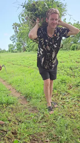 Sudah dapat kerja baru dong 😅 #fyp #fransoa #perancis #Bali 