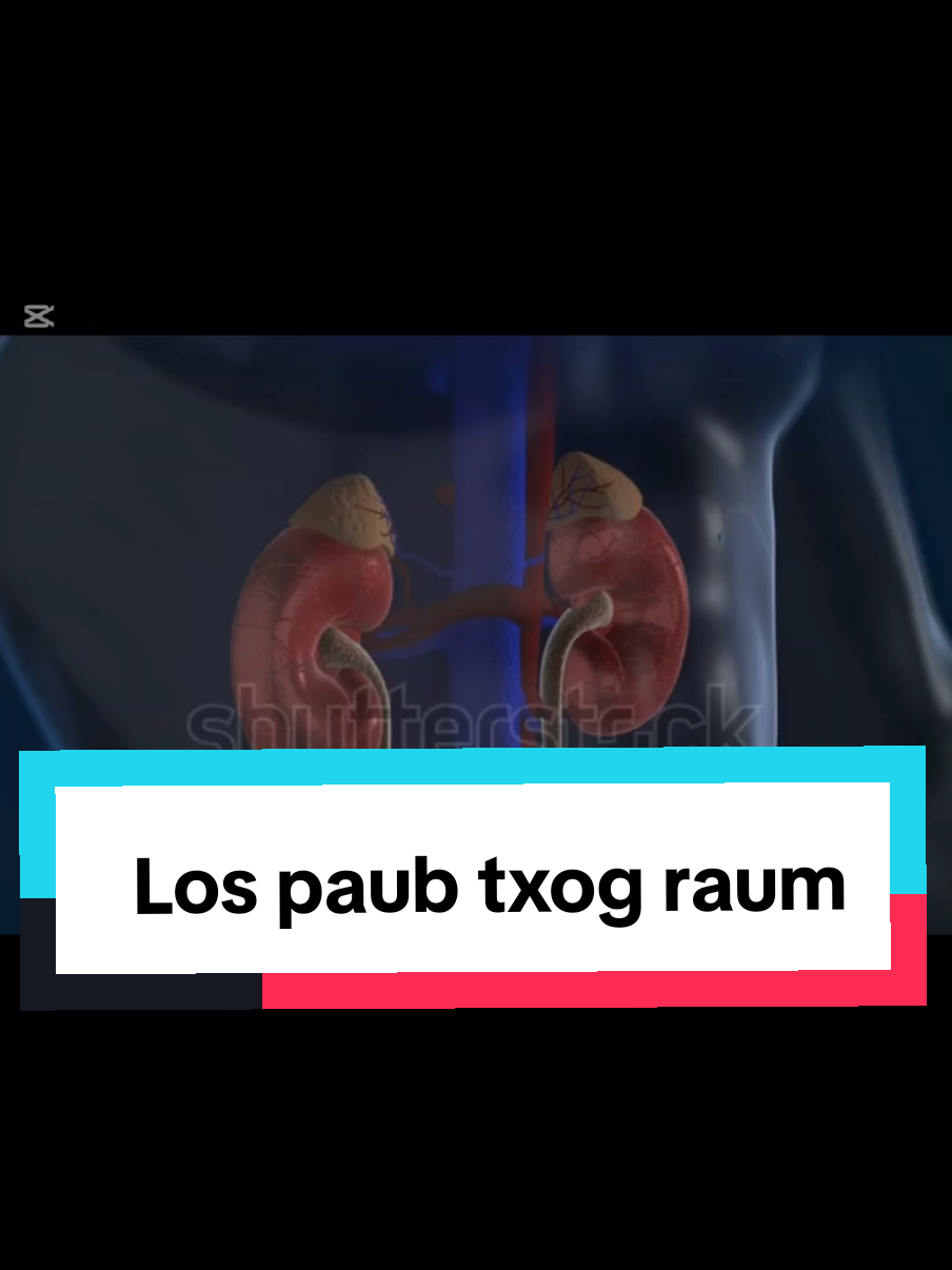 #ຢ່າປິດການມອງເຫັນເດີ້ #ຢ່າລືມກົດຕິດຕາມກົດໃຈດ້ວຍນະ❤️ 
