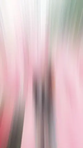 #CapCut Hong có cáp #xh #fyp #xuhuong #tiktok #uocduoclenxuhuong #nhachaymoingay #foryou #fypシ゚ #viral 