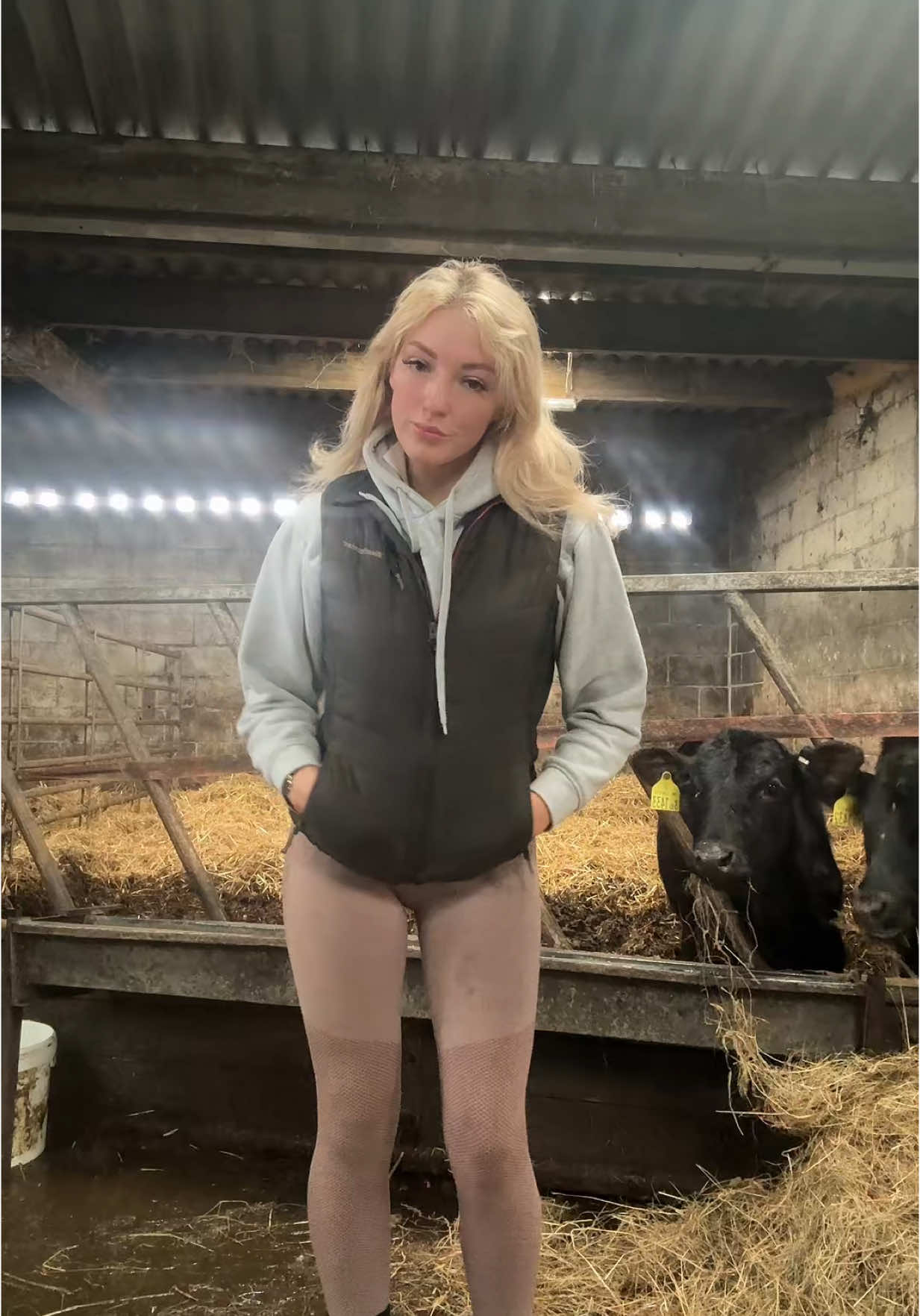 The best leggings for all the farm jobs 🐮🐑🤭 #countrygirls #countrygirlsdoitbest #countrylass #farmgirl #farming #womenwhofarm #farmer #womenwhofarm #farmersdaughter #cows #cowsontiktok #cowsoftiktok #calfs #calves 