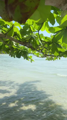 Pure paradise 🌴🥹😍