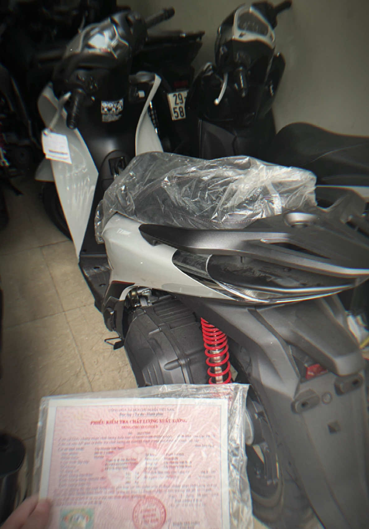 Rực rỡ tuổi 19 ! #CapCut #xhhhhhhhhhhhhhhhhhhhhhhh #newyear2025 #xh #fyp #hanoi #hanoinews #xuhuongtiktok #hello2025 #2025 #29hanoi #honda #sh160 #shvn #160i 