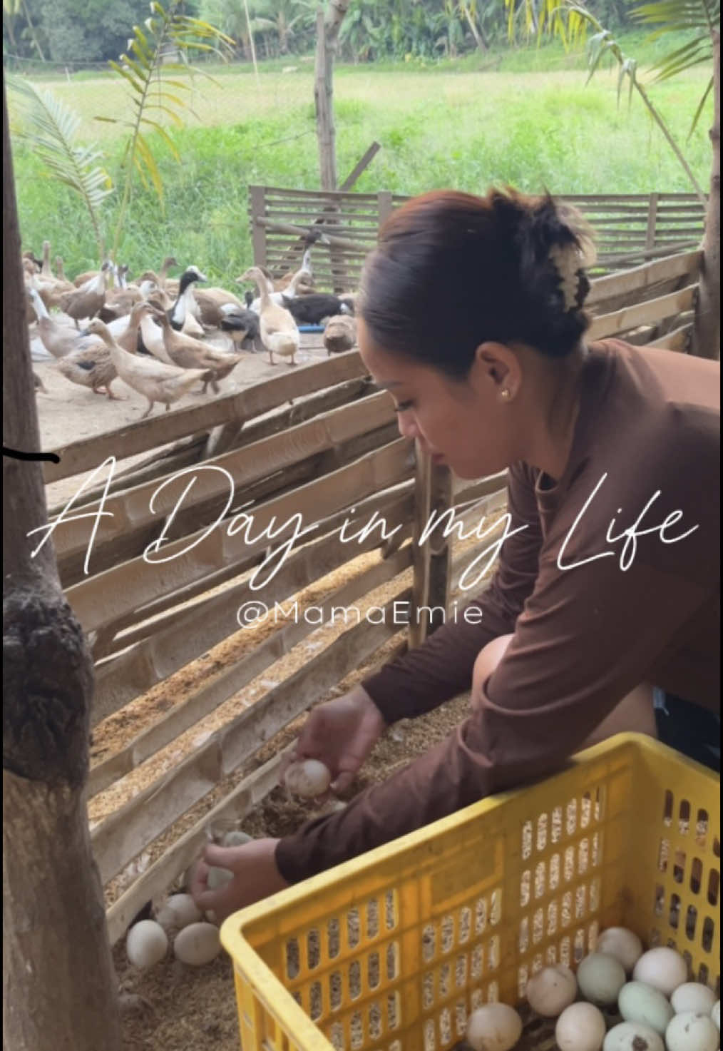 Di baleng maskit ang likod basta may pera. ✨ #farmlife #farm #farming #duck #egg #eggs #balot #business #fyp #foryou #fypage 