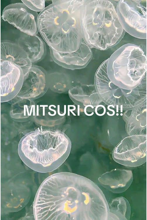 Bitch pull your wig down #MITSURI ll #demonslayer #kny #mitsurikanroji #demonslayercosplay #knycosplay #mitsuricosplay #cosplay #cosplayerfyp #fyp #kemitsunoyaiba 