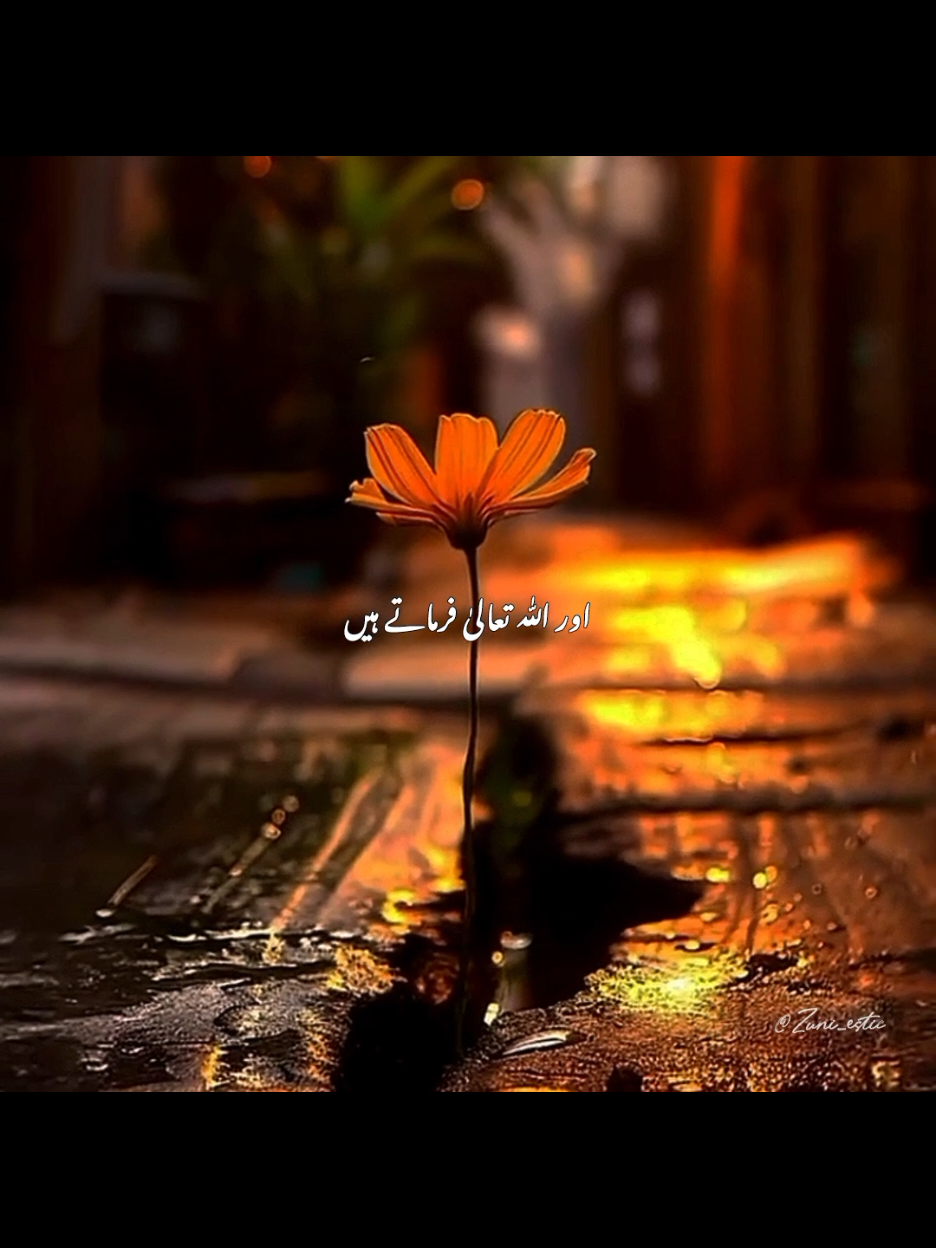 Beshak✨🤍 #fyp #Ramadan #foryou #100k  #trending #islamic #2025 #status #viralvideo #lines #poetry #broken  #unfreezemyaccount #zuni_estic 