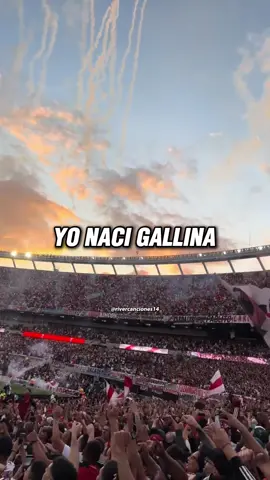 AUNQUE GANES O AUNQUE PIERDAS! 🤍❤️🤍 • • • • • • • #riverplate #riverelmasgrande #tricampeon #siempreestaremos #lbdt #lbdt14 #riversiempre #vamosriver #riverespopular #riveresfamilia #riverespasion #riveresmundial #rivervososmivida #futbol #barrabrava #monumental #futbol #telón #elmasgrande #grandeza #pasión #argentina  #riverplate #fypシ #fyp # #futbol #Viral #messi #Libertadores #monumental #gallardo #riverhinchada #lbdt14💪🇮🇩🇦🇷 #losborrachosdeltablon #fiesta #lbdt