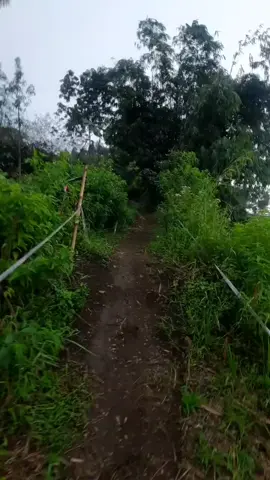 ngebuburide track godog  #adventure #godogbikepark #downhill #fyp #polygonbikes #garutmtbsquad #downhill #pilygonsiskiud7 #adventurebike #downhillmtb #galunggungbikepark 