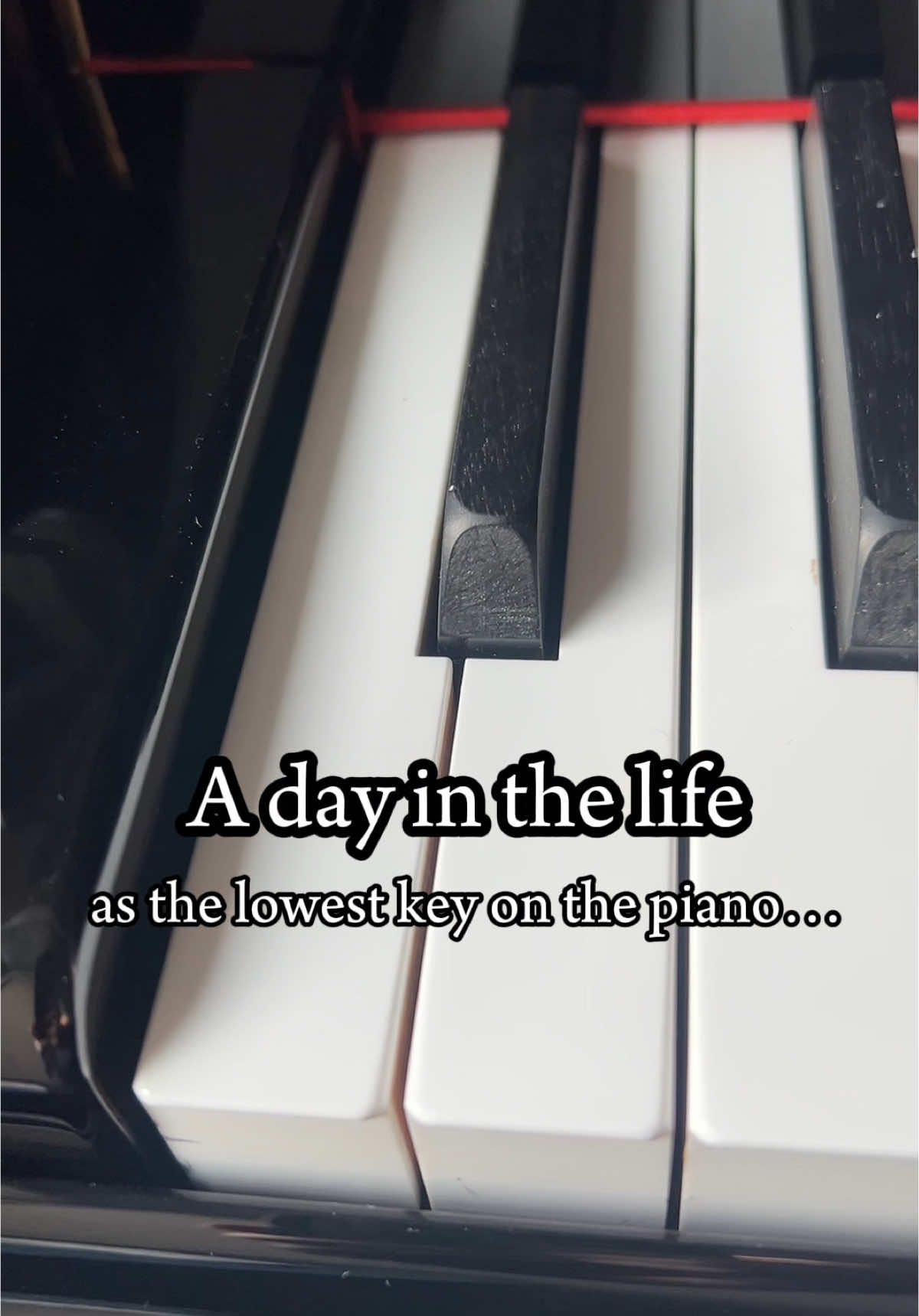 ❤️ a day in the miserable life of the lowest key on the piano  • • • • •#piano #pianist #classicalmusic #pianotutorials #pianotips #musiqueclassique #pianiste #pianotutofacile #pianopractice #pianocommunity #musicianlife #pianistlife #practicing #musicians #pianoperformance #pianocommunity #practicing #adayinthelife 