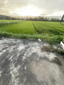 Kỷ niệm quá đâu buồn quá khi yêu thương giờ đã phai nhoà