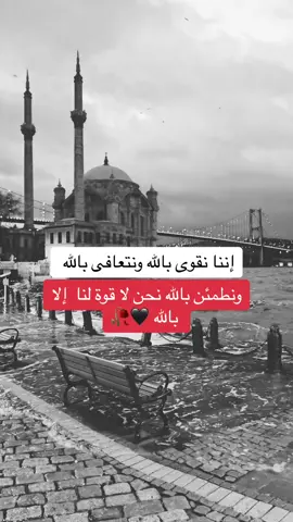 #حفيد_العجوز🖤🖤 
