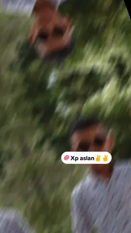 #CapCut 