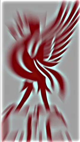 Liverpool forever guul iyo guuldaraba❤️🫶🏾#liverpool#viraltiktok#foryoupage#goatnaldo#suusunaldo#liverpoolfc❤️🫀