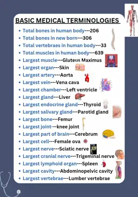 ##Basic Medical knowledge 🩺🩻💊 Medical Terminologies###