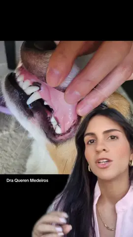 como saber se o cachorro está doente #dicavet #dicapet #cachorro #cachorros #draquerenmedeiros #animaisnotiktok #veterinaria #dicaveterinaria #foryou #fy #foryoutiktok #vaiprafy #vaiprofy #viralata 