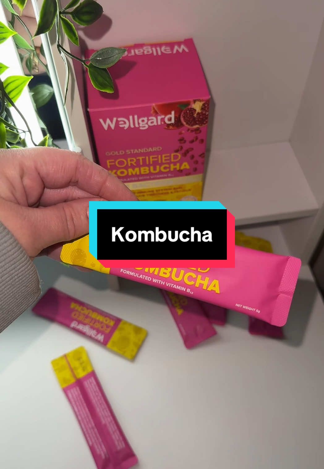Enjoy a delicious, sustainable, and low-calorie gut-health upgrade #tiktokmademebuyit #kombucha #wellgard #springsale 
